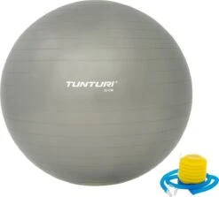 Tunturi Fitness Bal - Yoga Bal Inclusief Pomp - Pilates Bal - Zwangerschaps Bal - 65 Cm - Kleur: Zilver - Incl. Gratis Fitness App