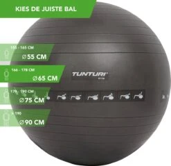 Tunturi Fitnessbal - Gymball - Swiss Ball - 65 Cm - Anti Burst - Incl. Pomp - Zwart - Incl. Gratis Fitness App -Tunturi 1200x1162 1