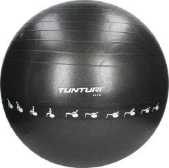 Tunturi Fitnessbal - Gymball - Swiss Ball - 65 Cm - Anti Burst - Incl. Pomp - Zwart - Incl. Gratis Fitness App -Tunturi 1200x1188